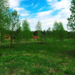 Участок № 50